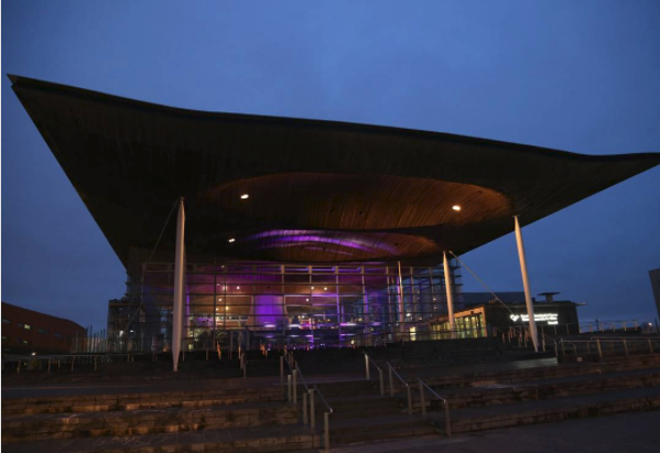 Y Senedd wedi'i goleuo'n borffor