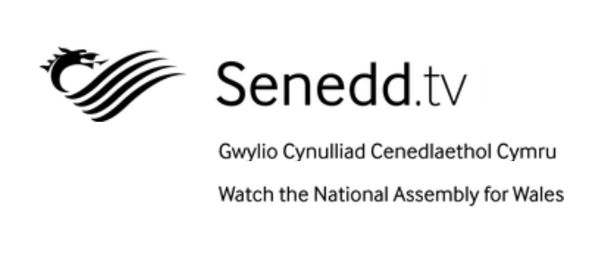 SENEDDTV