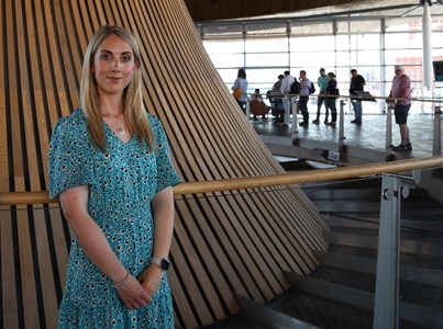 Deisebwyr yn y Senedd